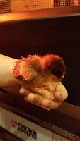 20180301_182227.jpg