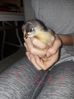 20180304_141124.jpg
