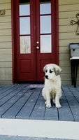 20180304_134346.jpg