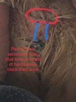 6F264AEB-5D4D-4554-85F1-6C5EEE25AF97.jpeg