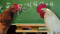 chicken_math.jpg
