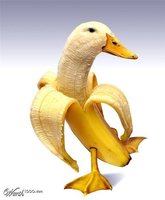 1755576E-6641-48E6-88EC-1EB899F34B76.jpeg