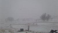 20180305_080539.jpg