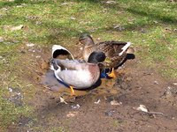 WP_20180303_13_27_41_Pro (2).jpg