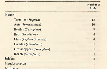 14.Junglefowl diet - animals.png