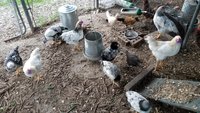 20180305_181633.jpg
