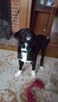 20180306_170307.jpg