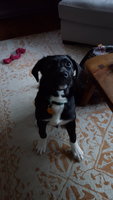 20180306_170457.jpg