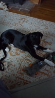 20180306_170705.jpg