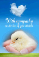 Chick Sympathy.jpg Chick Sympathy.jpg