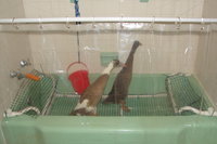 DSC04544.JPG