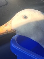 8FD75799-9648-4D64-AAC0-B6FF1E0B7707.jpeg