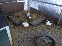 IMG_0027.JPG