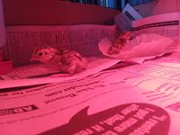 20180308_174747.jpg