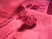 20180308_174658.jpg