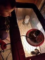 20180308_194818.jpg