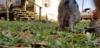 20180303_165529.jpg