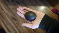 Cayuga Egg.jpg