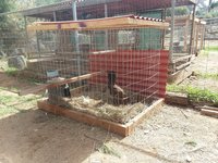 20180309_120859.jpg
