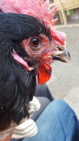 20180309_074729.jpg