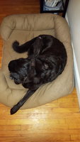 20180308_170229.jpg
