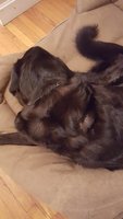 20180308_170319.jpg