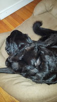 20180308_170325.jpg