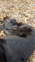 20180309_155853.jpg