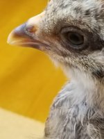 20180310_162619.jpg