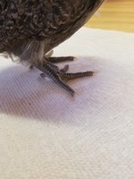 20180310_162728.jpg