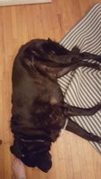 20180310_230705.jpg