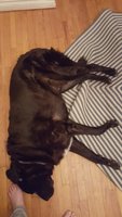20180310_230713.jpg