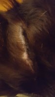 20180310_233210.jpg