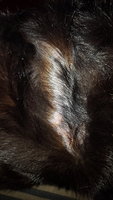 20180310_233217.jpg