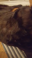 20180310_233409.jpg
