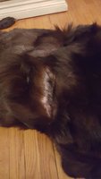 20180310_233424.jpg