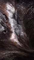 20180310_233555.jpg