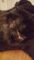 20180310_233933.jpg