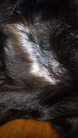20180310_233941.jpg