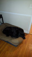 20180310_235947.jpg