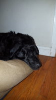 20180310_235959.jpg