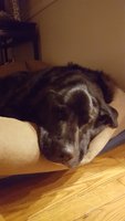 20180311_000026.jpg