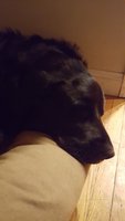 20180311_000146.jpg