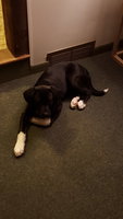 20180307_183432.jpg