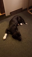 20180307_183650.jpg