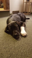 20180307_183756.jpg