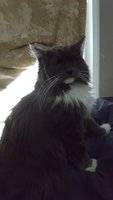 20180207_142643.jpg