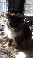 20180209_135730.jpg