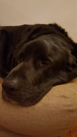 20180129_204720.jpg