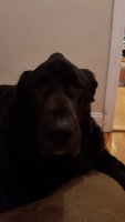 20180129_204804.jpg